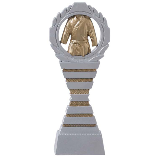 Bild von Kampfkunst Sport Pokal Serie C827 Silber-Gold