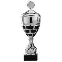 Einzeln und 6er Pokalserie Pokal A5001 silber 