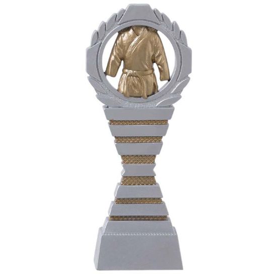 Picture of Martial Arts Award Trophy Serie C827 Silver-Gold