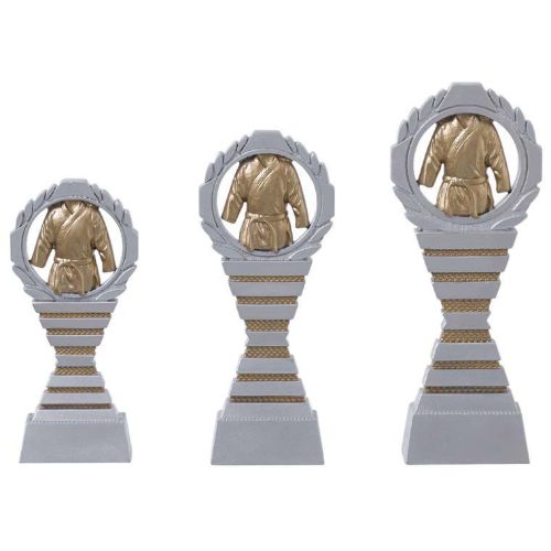 Image de Arts Martiaux Trophée Serie C827 Or-Argent