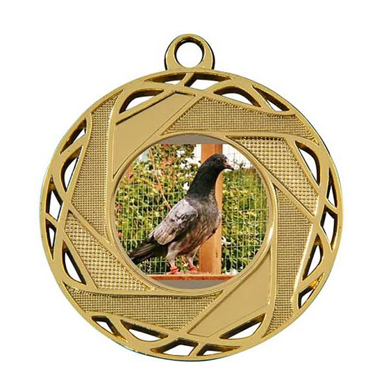 Picture of Medaille 50 mm M132  Goud-Zilver-Brons