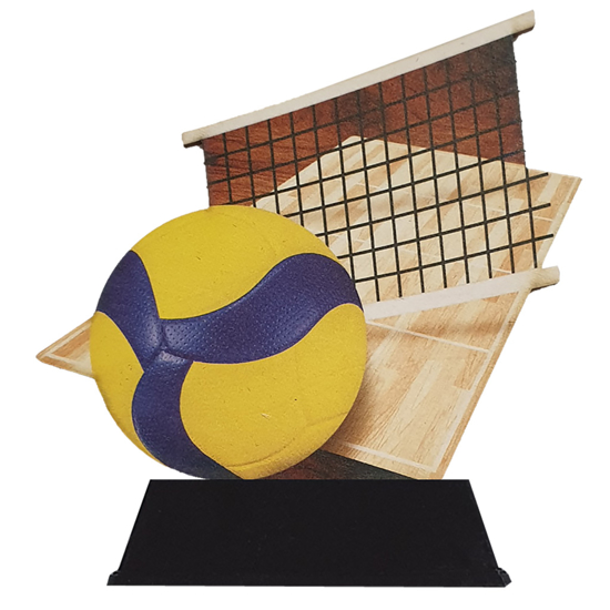 Image de Houten Standaards WT0201-3 Volleybal vanaf €10,65