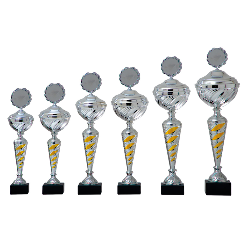 Picture of Beker 6 serie AK5080 in Zilver-Goud vanaf € 16,15