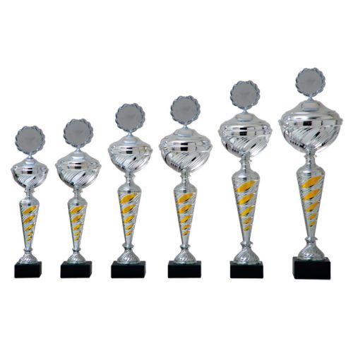 Bild von Pokal AK5080 Silber-Gold