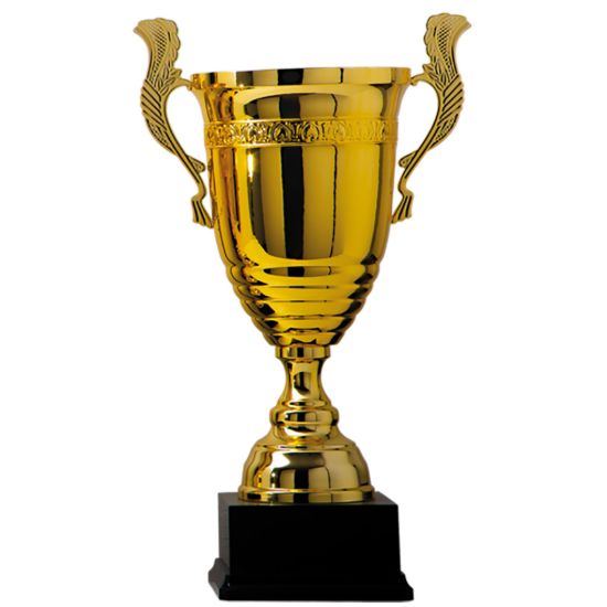 Picture of Kampioens Beker AK5560 in Goud vanaf € 124,95