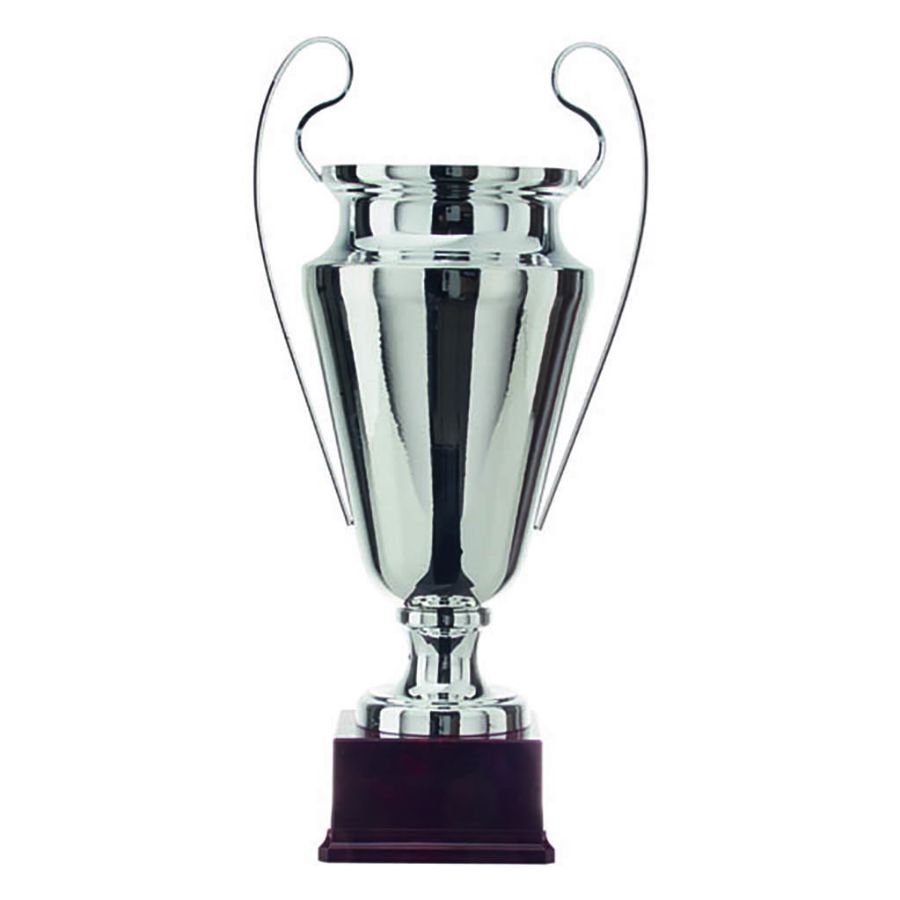 Picture of Trophy cup AK5290 silver