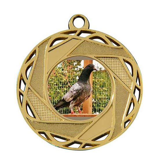 Image de Medaille 50 mm M132  Goud-Zilver-Brons