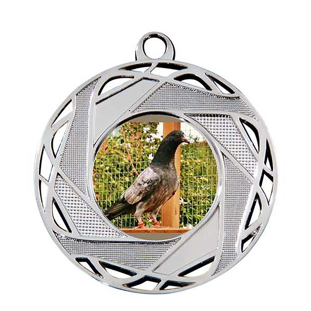 Image de Medaille 50 mm M132  Goud-Zilver-Brons