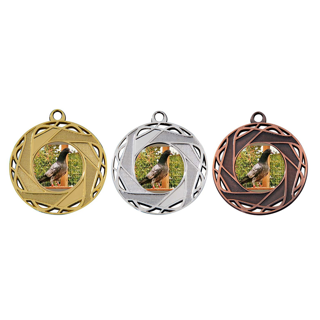 Image de Medaille 50 mm M132  Goud-Zilver-Brons