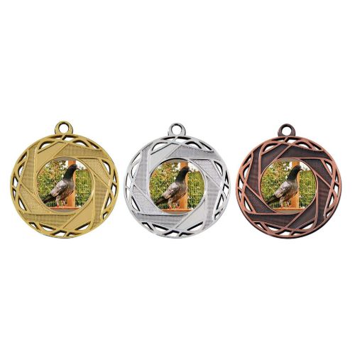 Afbeeldingen van Medaille 50 mm M132  Goud-Zilver-Brons