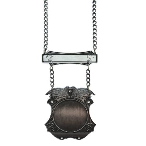 Bild von PRINZENORDEN KARNEVAL SILBER M61