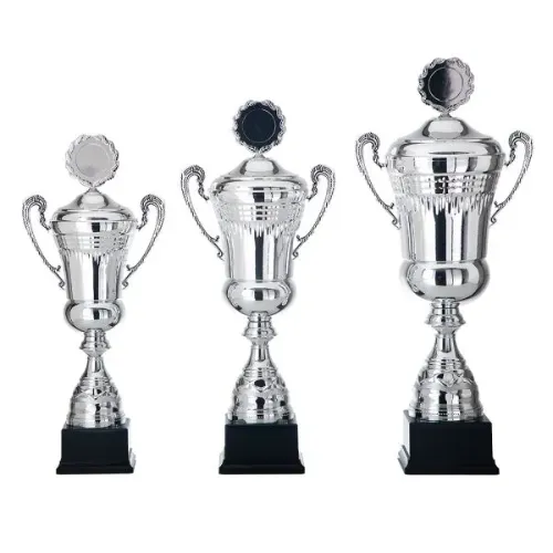 Picture of Trophy cup AK5098 silver
