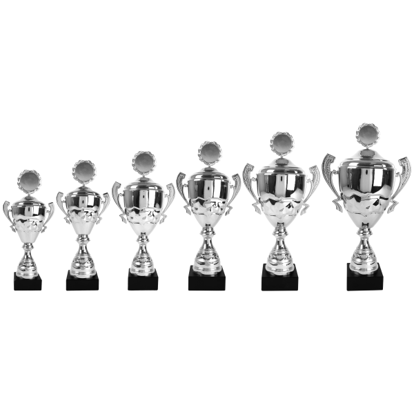 Bild von Beker 6 serie AK5135 in ZIlver vanaf  € 28,65