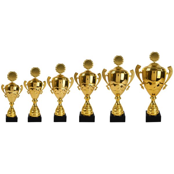 Image de Beker 6 serie AK5136 in Goud vanaf  € 28,65 