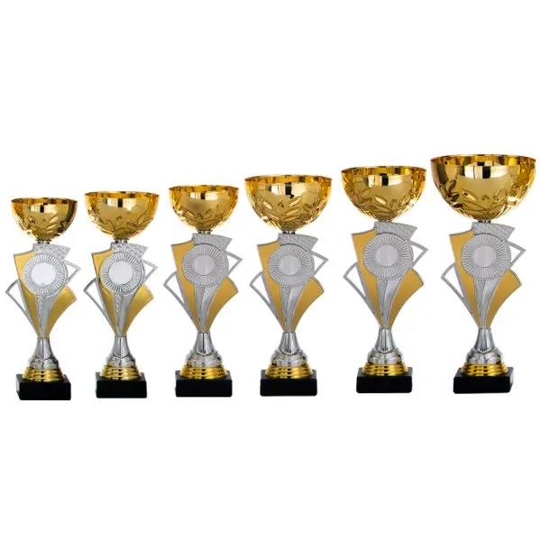 Image de Beker 6 serie AK5275 in Zilver-Goud vanaf  €9,35