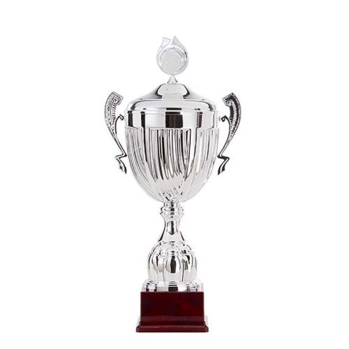 Picture of Trophy cup AK5300 silver