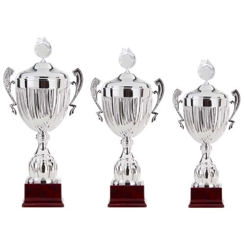 Picture of Trophy cup AK5300 silver