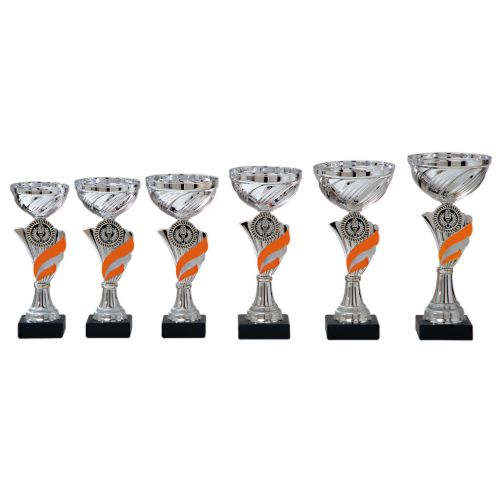 Image de Coupe sportive AK5330 argentée et orange