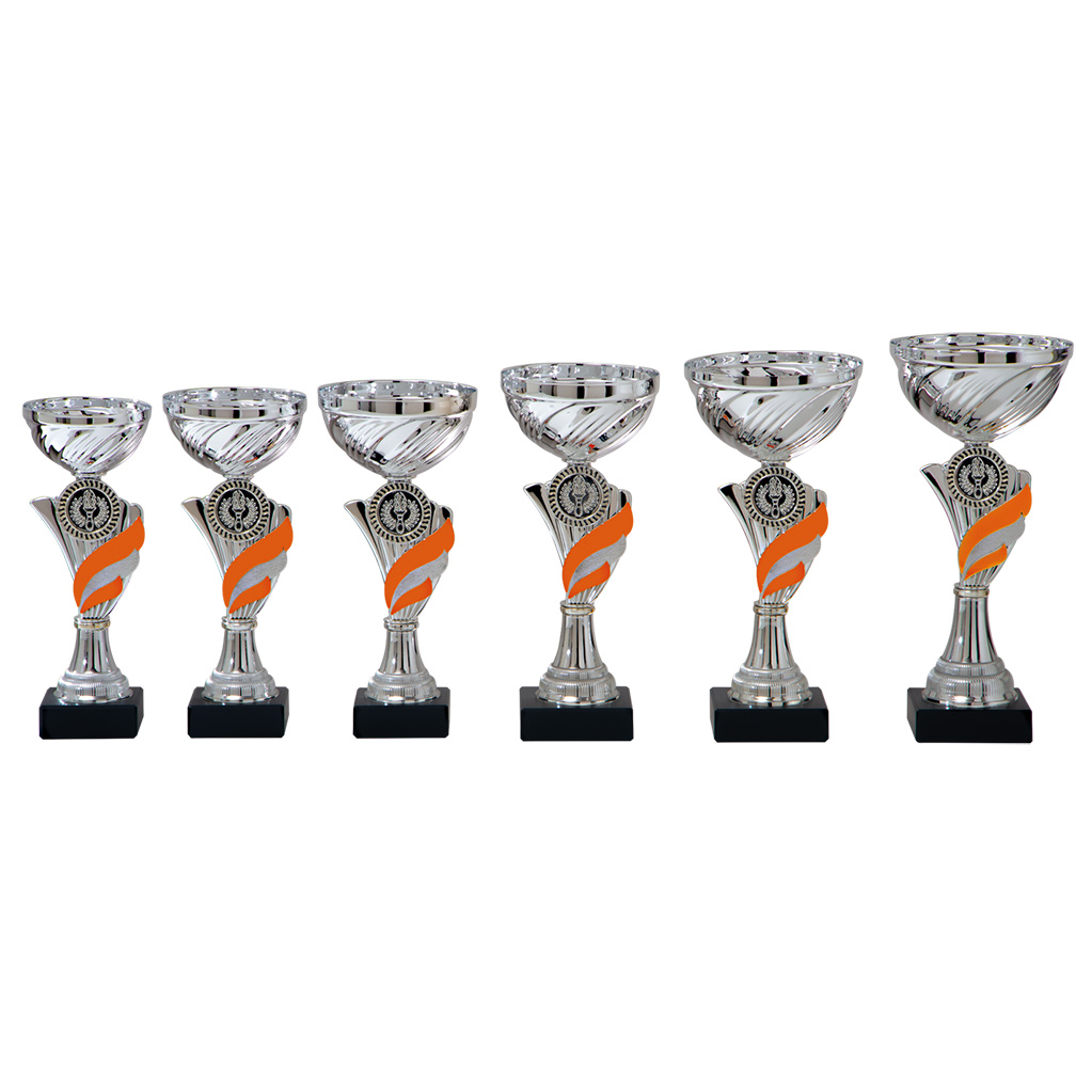 Picture of Beker 6 serie AK5330 in Zilver-Oranje  vanaf € 8,35
