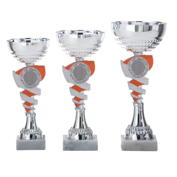 Picture of Beker 3 serie AR1420 in Zilver-Oranje  vanaf €8,85 