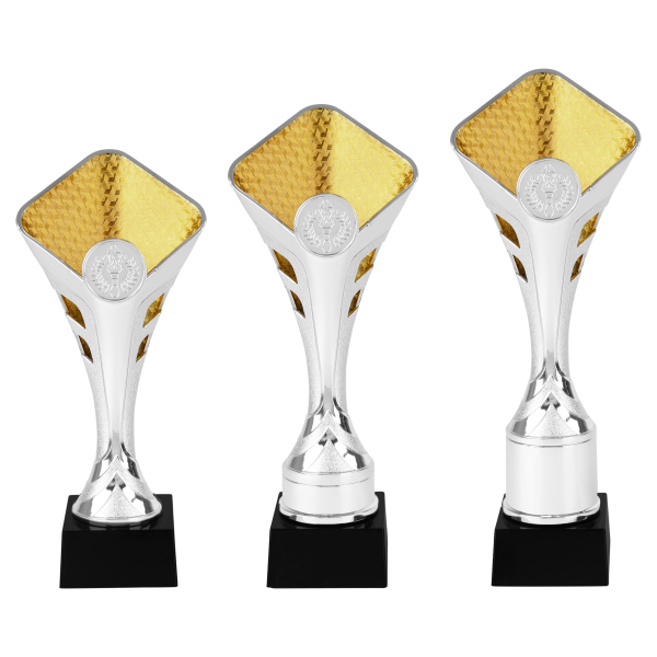 Picture of Beker 3 serie AR1520 in Zilver-Goud vanaf €7,05