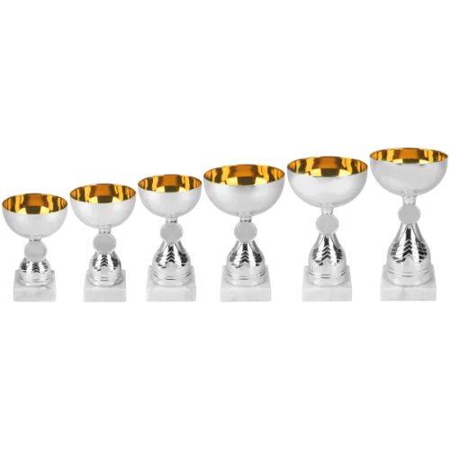 Picture of Beker 6 serie AS3031 in Zilver-Goud vanaf  € 7,15 