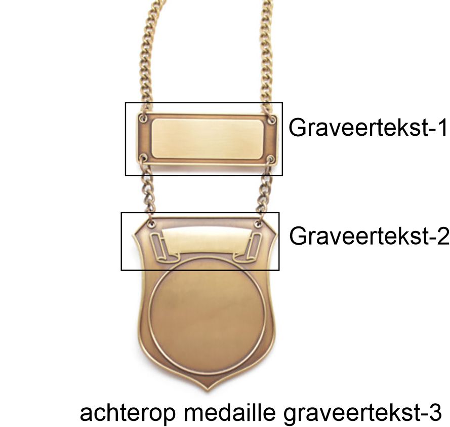 Bild von Prinsen Ketting Antiek Goud Shield Carnaval 62