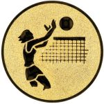 A1.020 Volleyball