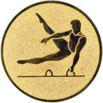 A1.043 Gymnastics