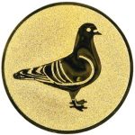 A1.101 Pigeon racing