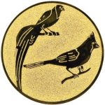 A1.104 Tropical birds