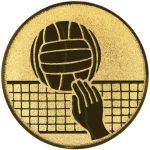 A1.139 Volleyball