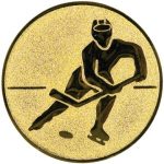 A1.099 Ice hockey
