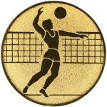 A1.019 Volleyball