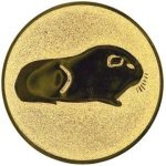 A1.049 Guinea pig