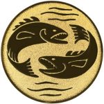 A1.061 Fishing