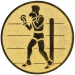 A1.079 Boxing
