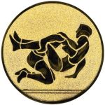 A1.080 Wrestling