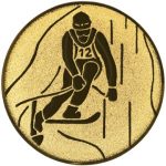 A1.095 Skiing