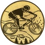 A1.137 Mountain biking