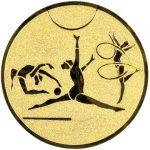 A1.141 Gymnastics