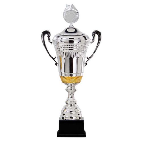 Picture of Trophy cup AK5620 silver and gold