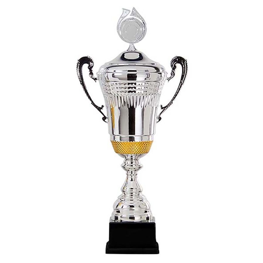 Picture of Trophy cup AK5620 silver and gold