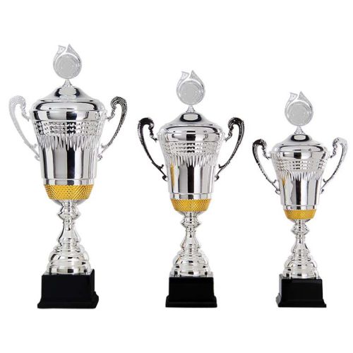 Picture of Trophy cup AK5620 silver and gold